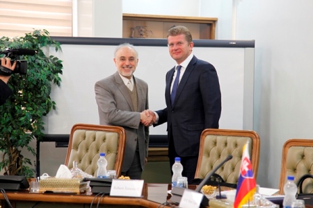 صالحي ووزير الاقتصاد السلوفاكي يبحثان التعاون في المجال النووي