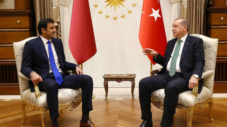 أردوغان يجري محادثات مع أمير قطر على خلفية انهيار الليرة التركية