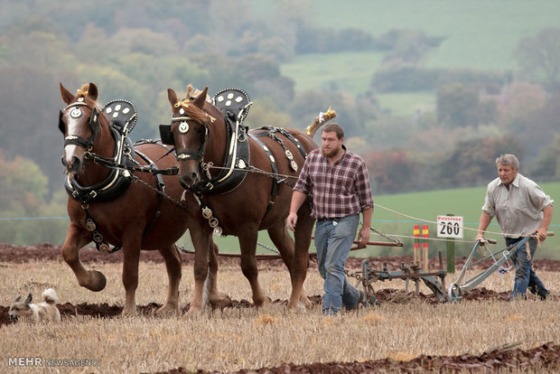 67th British national ploughing championships & country festival