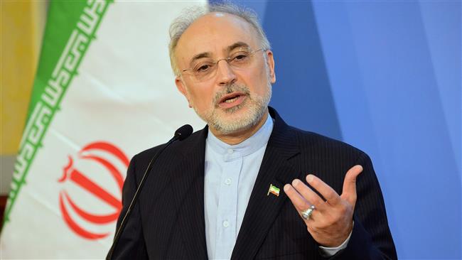 Iran's Salehi says nuclear deal not renegotiable