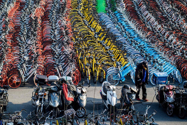 Thousands of bike-sharing scheme cycles seized in Shanghai