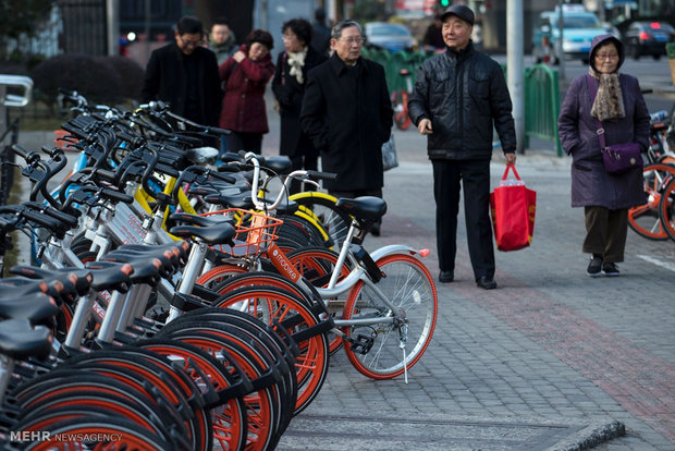 Thousands of bike-sharing scheme cycles seized in Shanghai