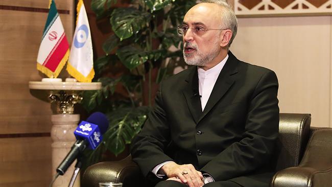 Salehi: Iran able to resume 20-percent enrichment activities in 5 days if needed