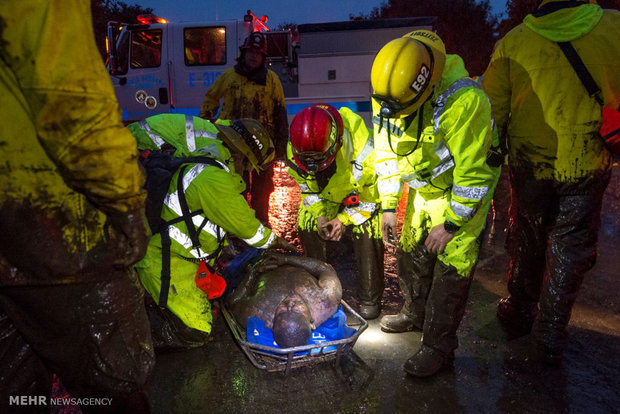 Rescue operation for Mudslide victims in California