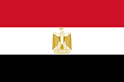 Egypt arrests 75, including officials, with corruption