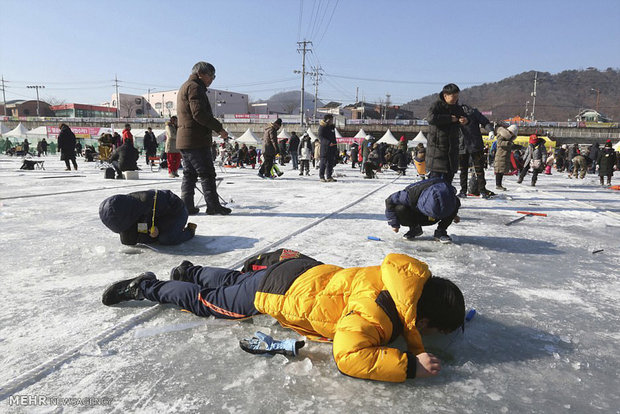 Tourists, locals brave cold to snatch fish at South Korean ice river