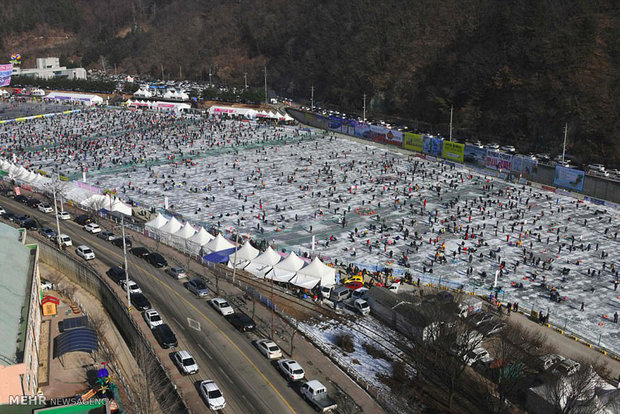Tourists, locals brave cold to snatch fish at South Korean ice river