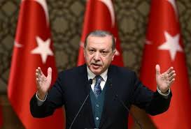 U.S. case against banker is 'political coup attempt': Turkey's Erdogan