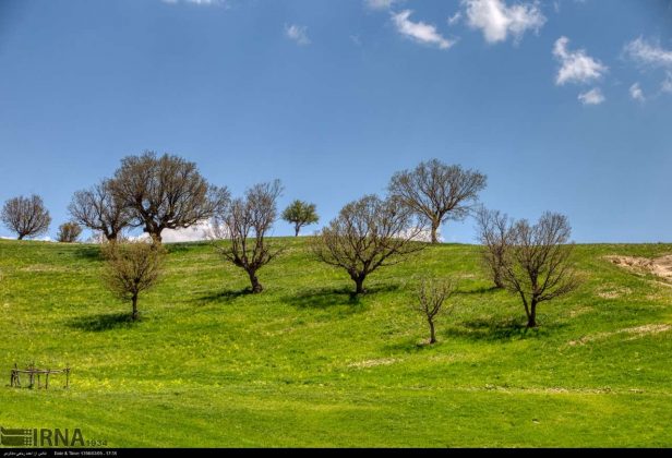 Spring in West of Iran