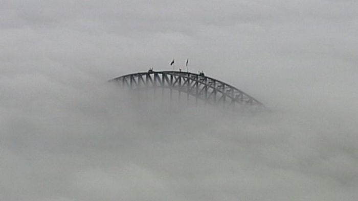 Fog blankets Sydney, causes flight delays