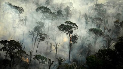 Official data shows fires in Brazil’s Amazon rainforest surge in July
