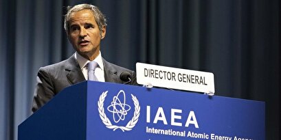 The director general of the IAEA is going to Turkey to attend the Ukraine talks