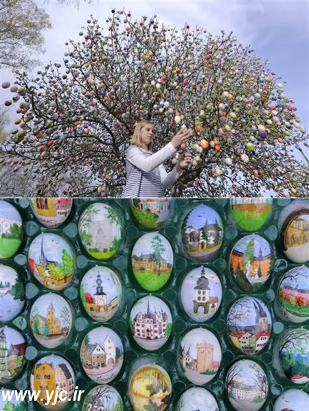 از درخت تخم مرغ گرفته تا .... + عکس