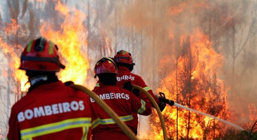 آتش سوزی مهیب در جنگل پرتغال + فیلم