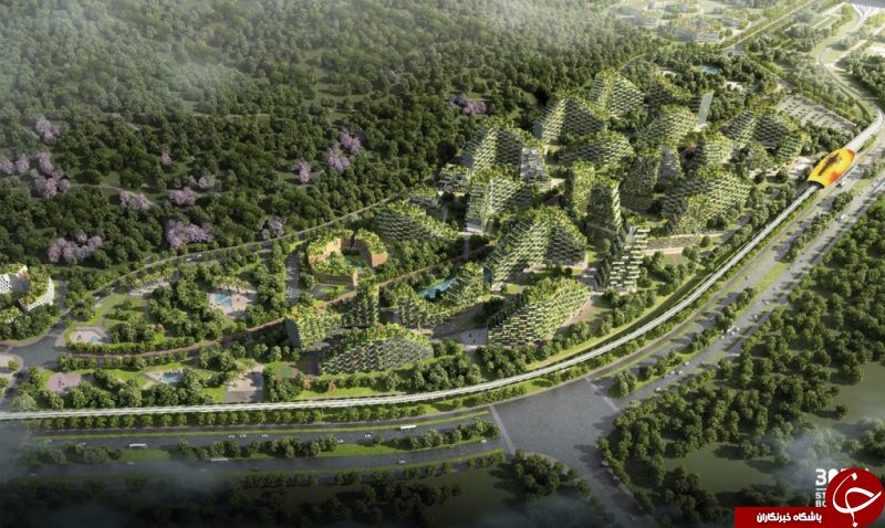 ساخت نخستین شهر جنگلی جهان در چین + تصاویر