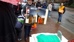 اعتراض به اعدام شیخ نمر از بلژیک تا هلند + تصاویر 1