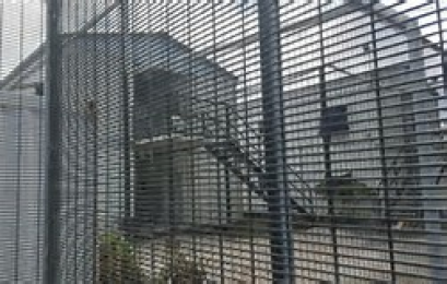 Australia to spend up to $195 million housing refugees after PNG detention center closes