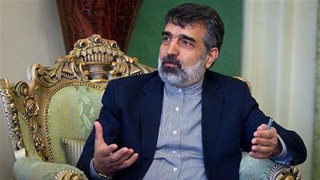 Sealing part of Iran’s nuclear facilities temporary: AEOI Spokesman