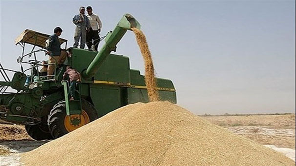 Iran exports 30.000 tons wheat to Oman