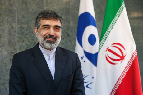 Iran’s official in Russia to discuss mutual nuclear cooperation