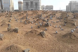 US Muslims mark anniversary of Jannat al-Baqi destruction by Riyadh