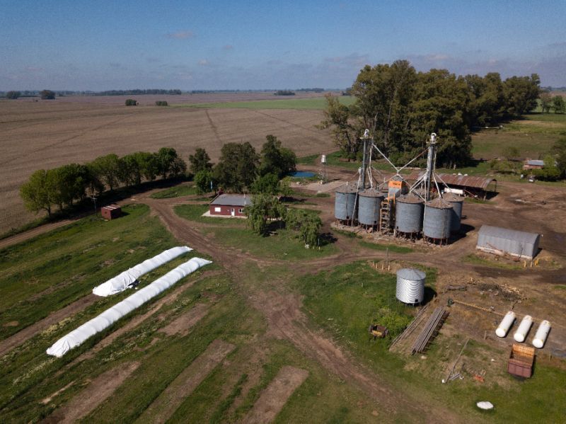 Agri-business lifts Argentine economy, amid tax ire