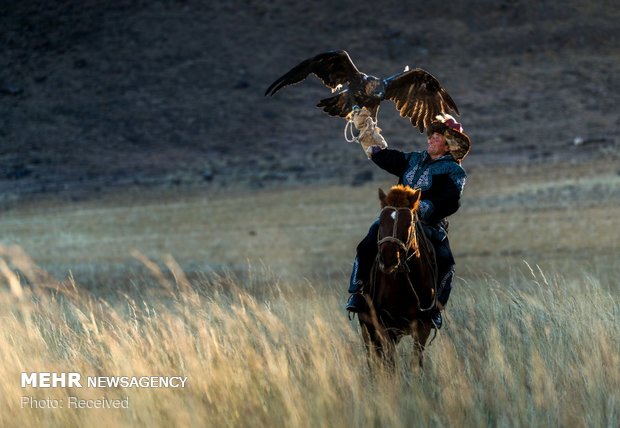 Mongolian horse riders holding eagle in hand