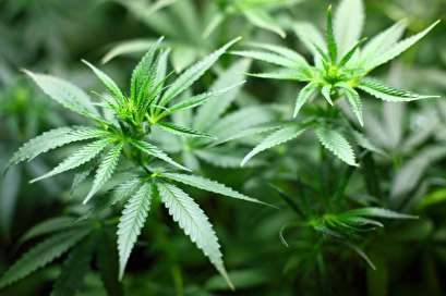 Study: Teen smoking rates dropped after Washington legalized marijuana