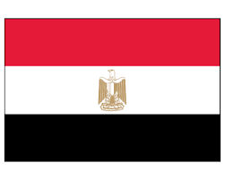 Egypt sentences 21 to death for planning attacks