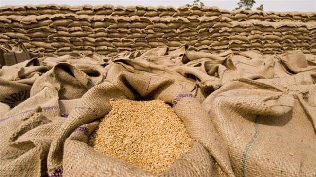 Iran to export first wheat cargo to Indonesia: Report