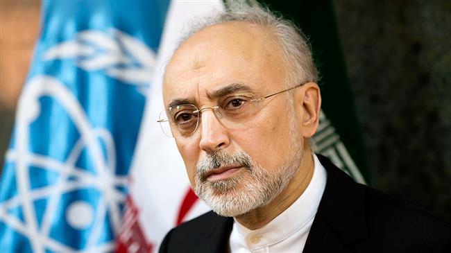 Iran's response readiness will startle US if it pulls out of JCPOA: Salehi
