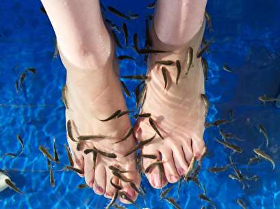'Fish pedicure' caused one woman's toenails to stop growing