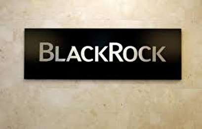 BlackRock profit misses as market turmoil hits bottom line