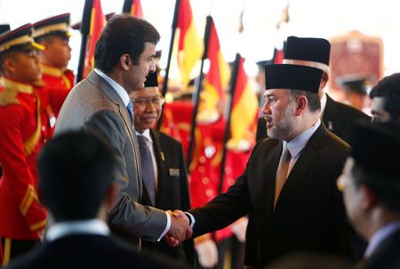 Malaysia's king steps down: palace statement