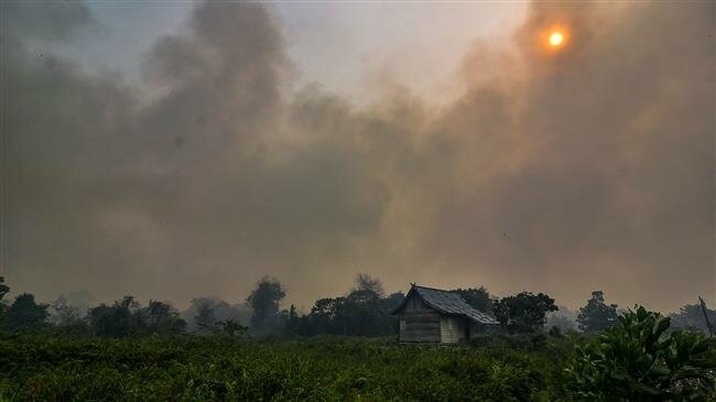Malaysia, Indonesia shut thousands of schools over toxic haze from forest fires