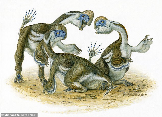 Bizarre new species of toothless two-fingered dinosaur is unearthed in the Gobi Desert