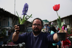 محلات، پایتخت گل ایران