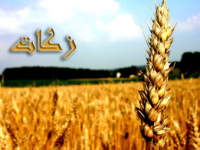 جمع&zwnj;آوری 25میلیارد ریال زکات فطره در استان زنجان