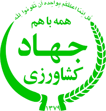 پايداری توليد محصول استراتژيك گندم عليرغم كاهش 6 هزار هكتارسطح زير كشت