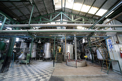 احیای دومین کارخانه تصفیه قند کشور در ورامین