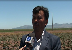 علائم سرمازدگی اعضای بدن + فیلم