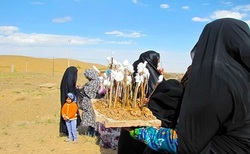 گزارش خبرنگار العربی در تهران از روز طبیعت