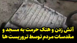 زن مسلمان خودروی هتک‌کننده قرآن را واژگون کرد + فيلم