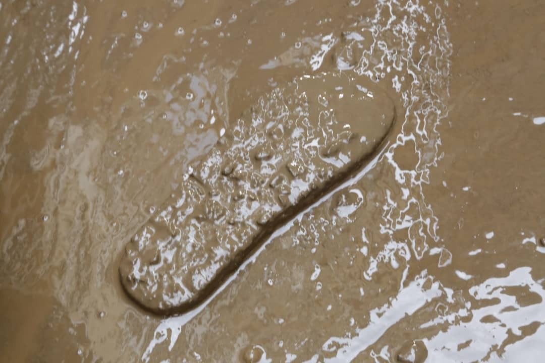 حادثه امامزاده داوود