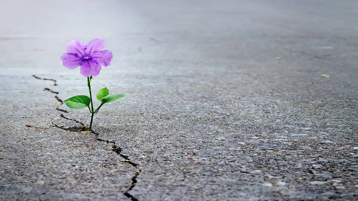نقش امید در زندگی + فیلم