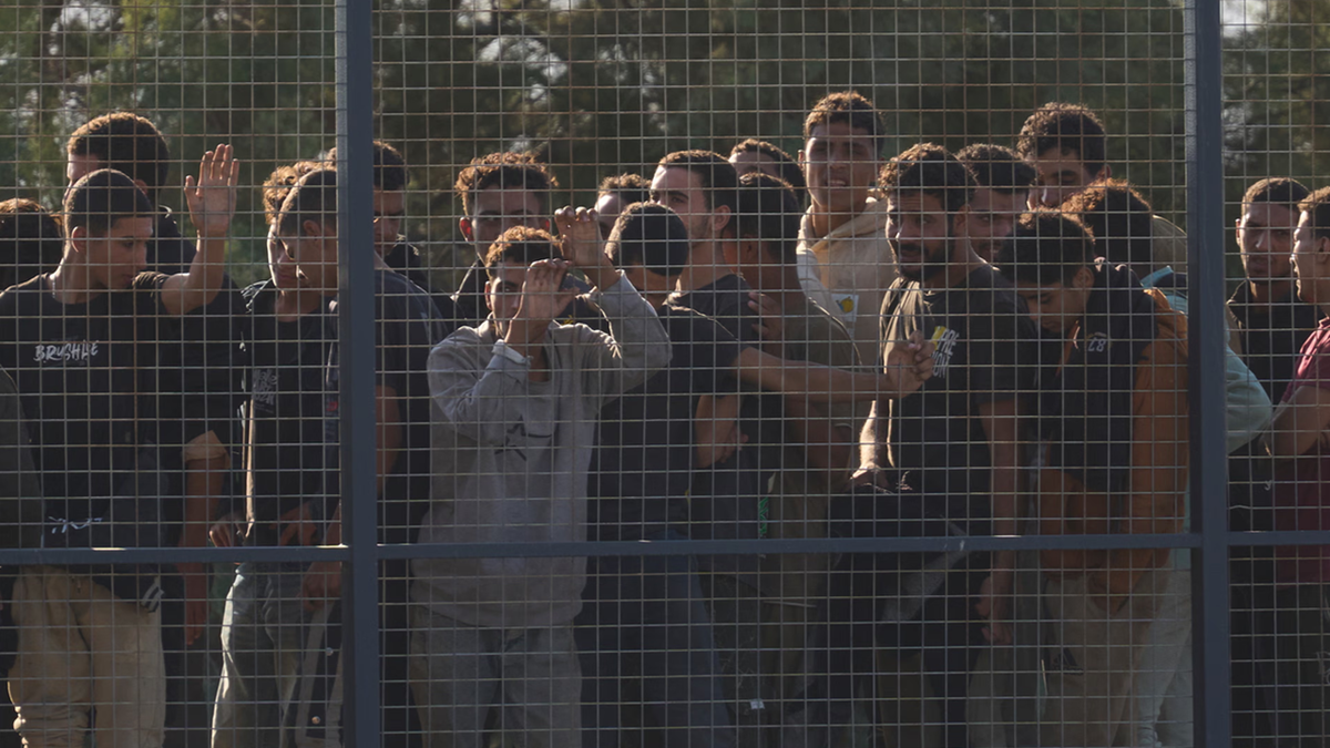 کشف بزرگترین تار عنکبوت جهان + فیلم