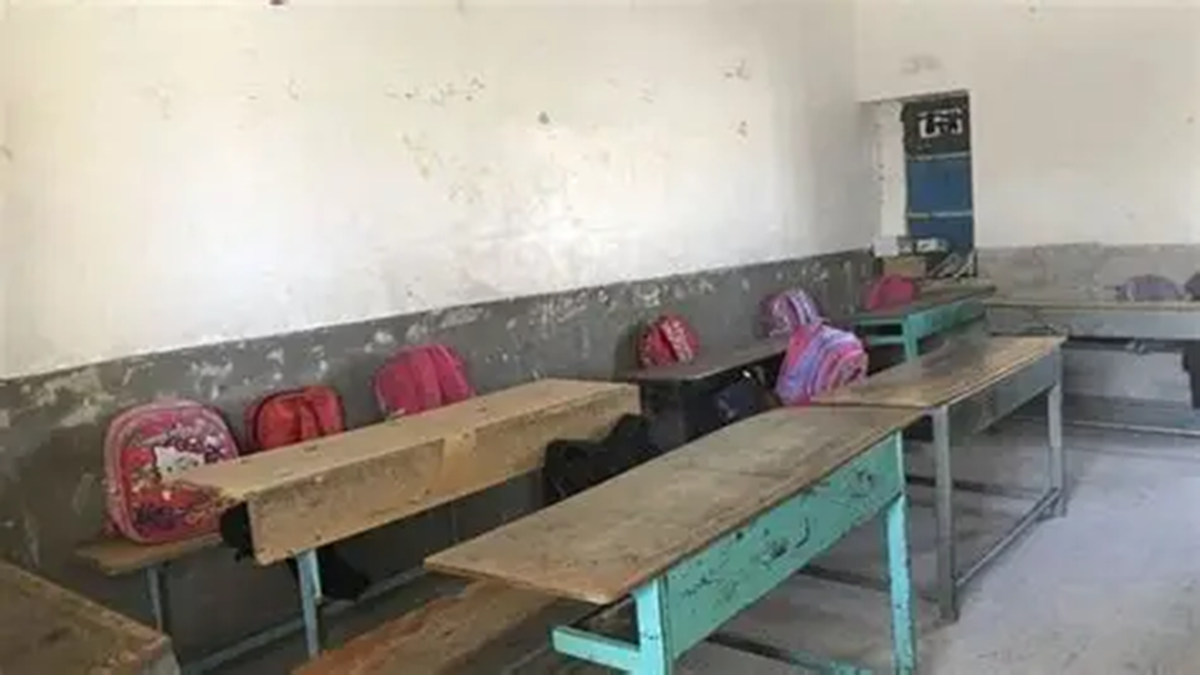 دانش