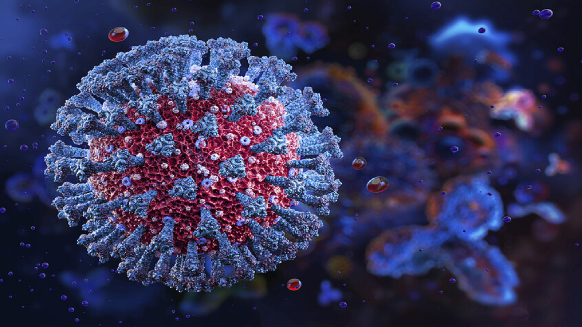 حمله سگ تربیت شده به یک کودک + فیلم