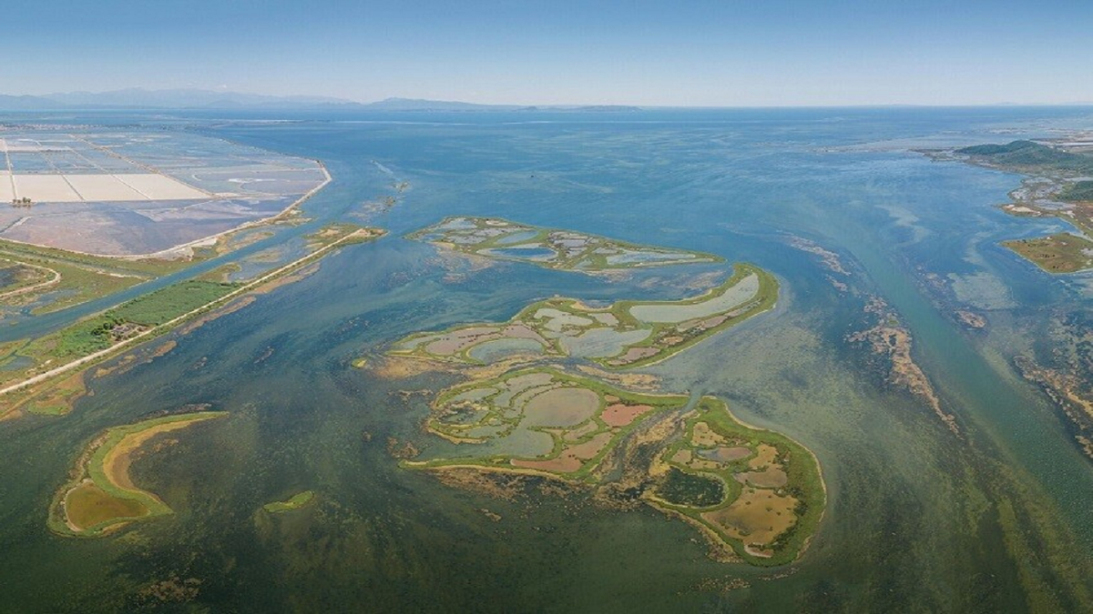 کشف بزرگترین تار عنکبوت جهان + فیلم