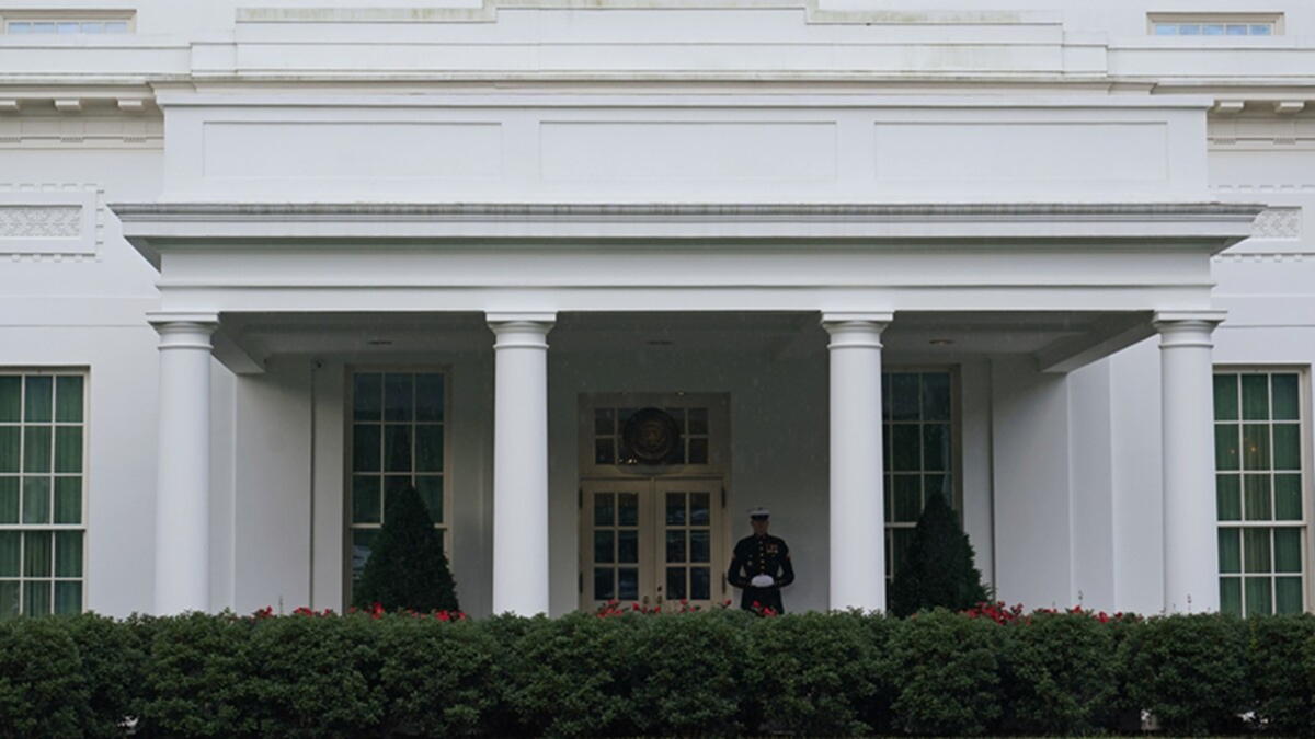 دست چت جی پی تی به خون آلوده شد + فیلم